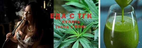 индика Дмитровск