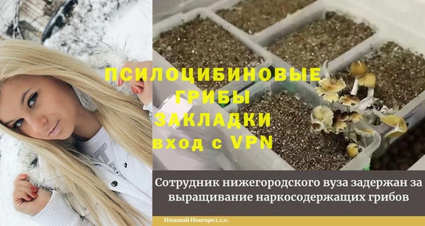 COCAINE Заводоуковск