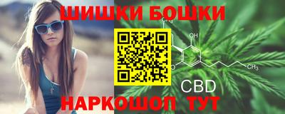 индика Рыбинск