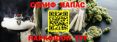 индика Рыбинск