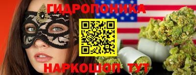 индика Рыбинск