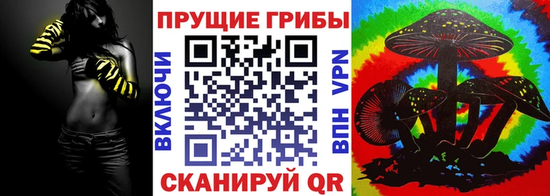 Псилоцибиновые грибы Cubensis Нижний Тагил