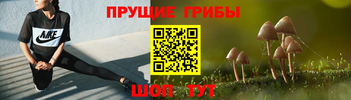 Псилоцибиновые грибы мицелий Нижний Тагил